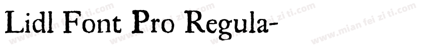 Lidl Font Pro Regula字体转换